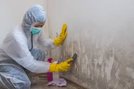 Best Mold Remediation for Healthcare Facilities  in Ovilla, TX